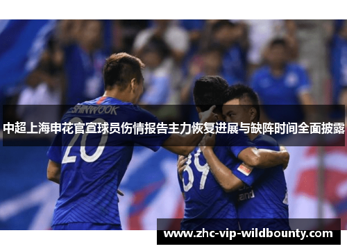 中超上海申花官宣球员伤情报告主力恢复进展与缺阵时间全面披露 中超上海申花官宣球员伤情报告主力恢复进展与缺阵时间全面披露